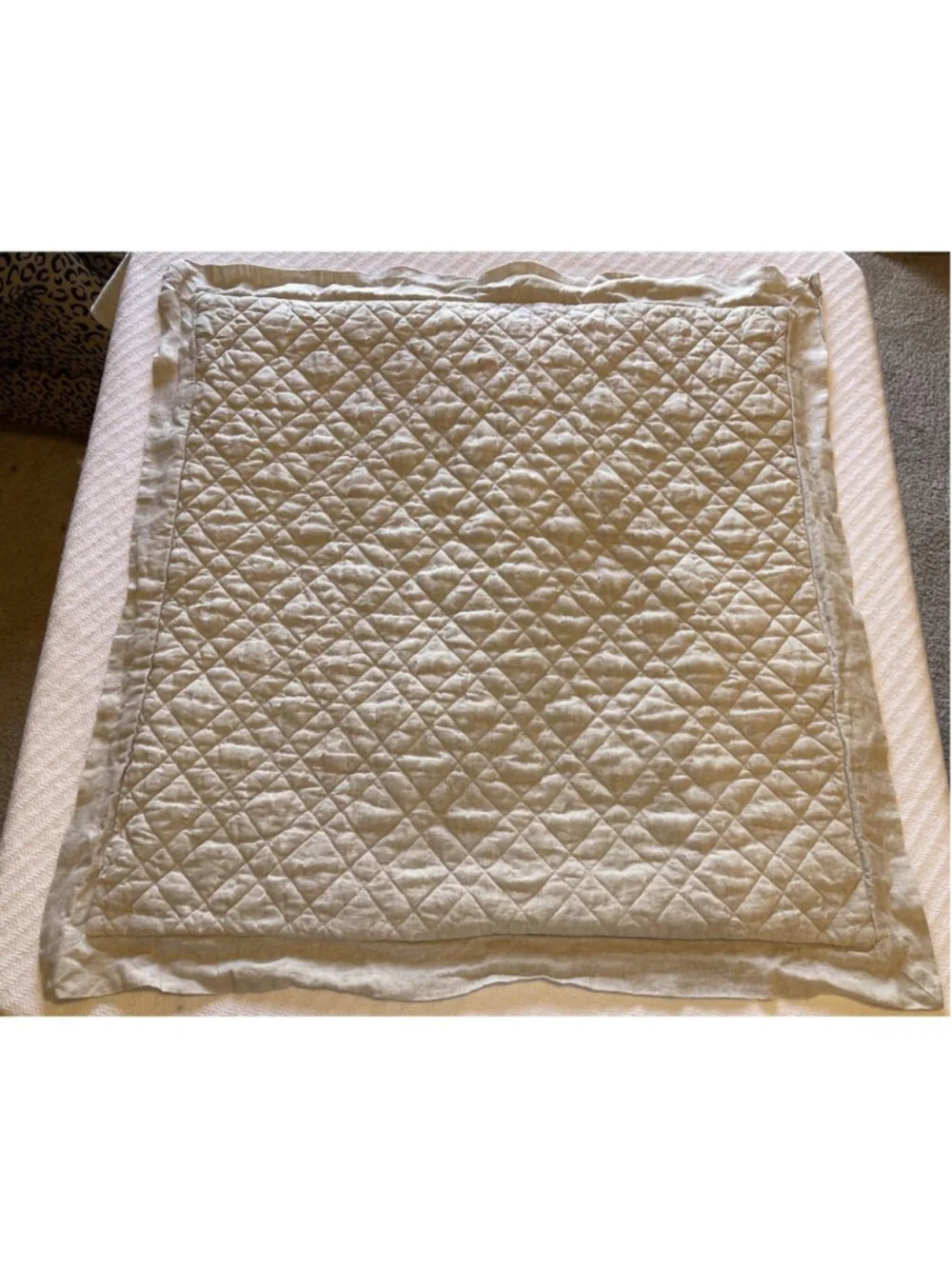 Pine Cone Hill euro sham